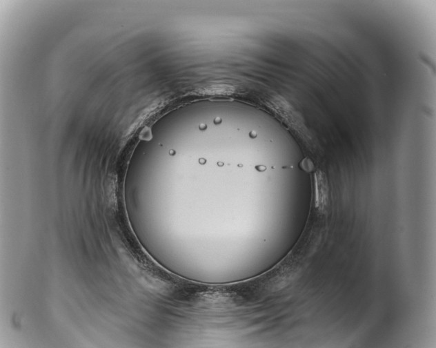 X0000102290300200808011519