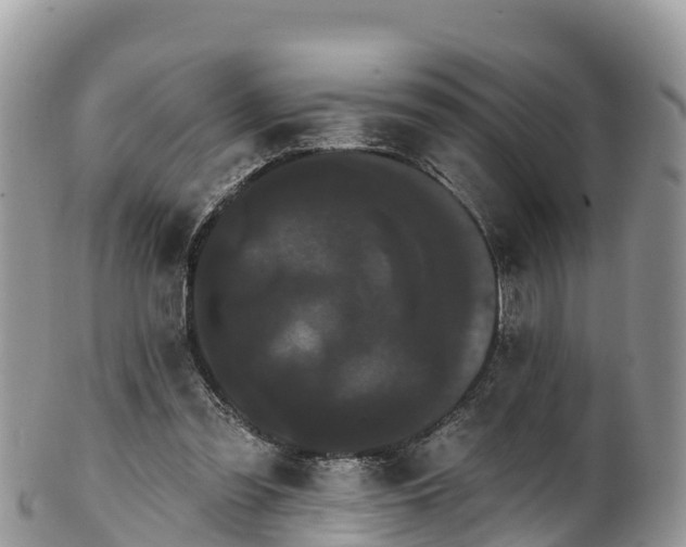 X0000102290301200808011519