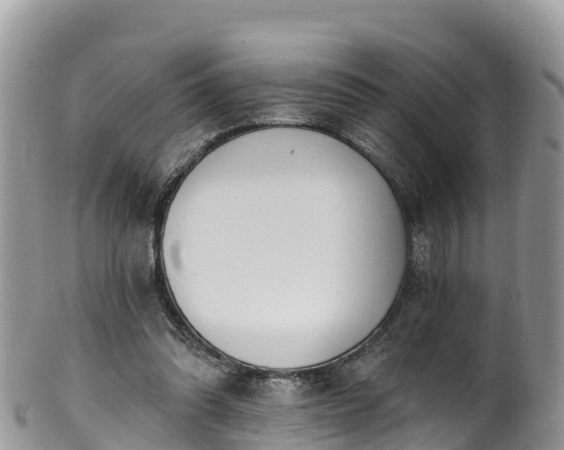 X0000102290302200808011519