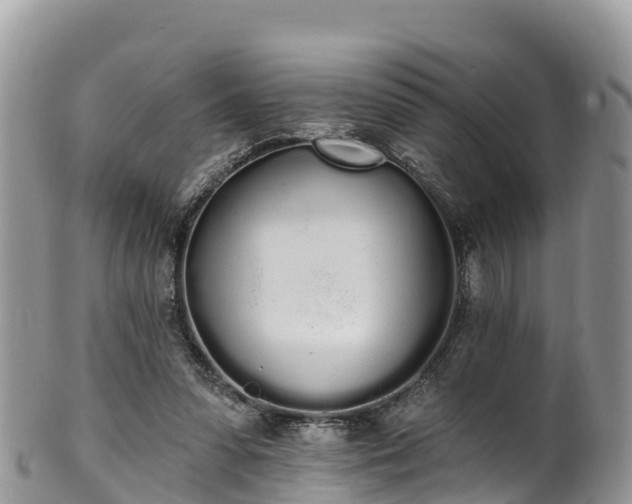 X0000102290303200808011519