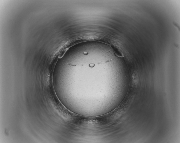 X0000102290304200808011519