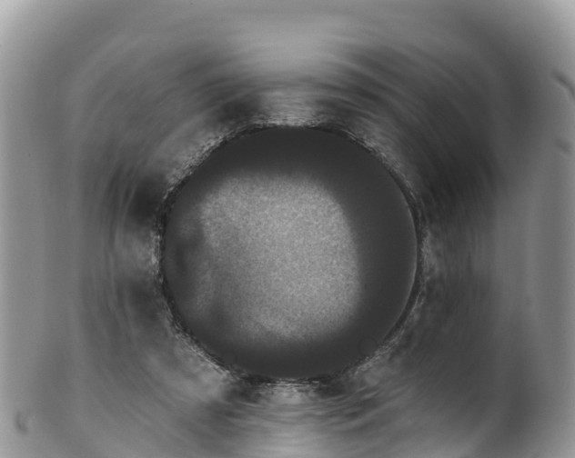 X0000102290305200808011519