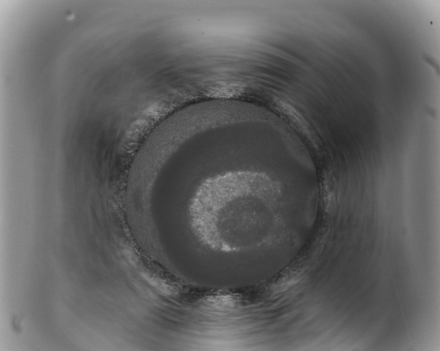 X0000102290307200808011519