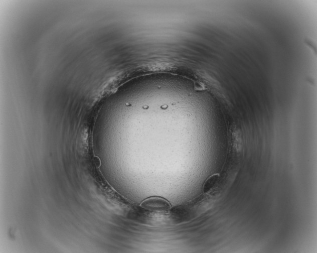 X0000102290308200808011519