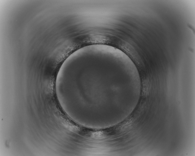 X0000102290309200808011519