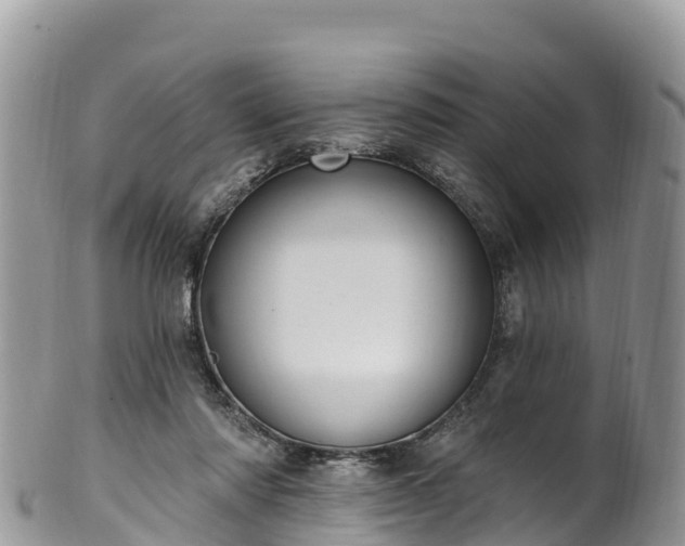 X0000102290310200808011519