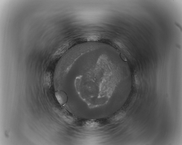 X0000102290311200808011519