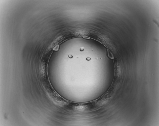 X0000102290312200808011519