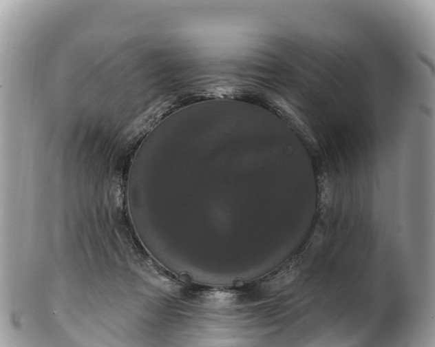 X0000102290313200808011519