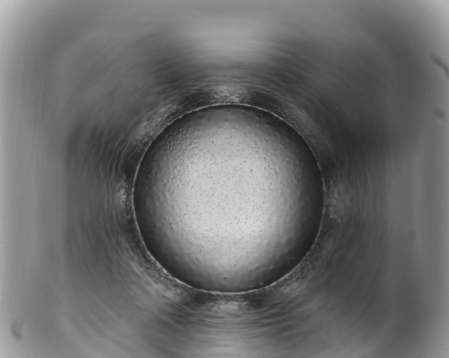 X0000102290314200808011519