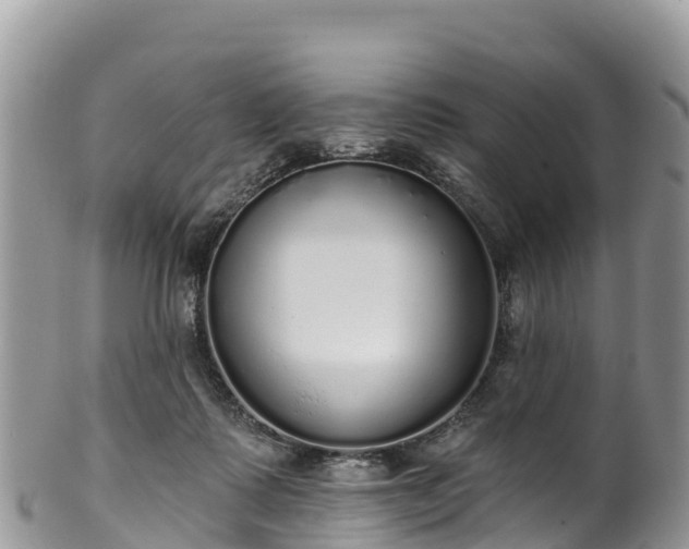 X0000102290315200808011519