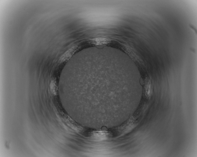 X0000102290316200808011519