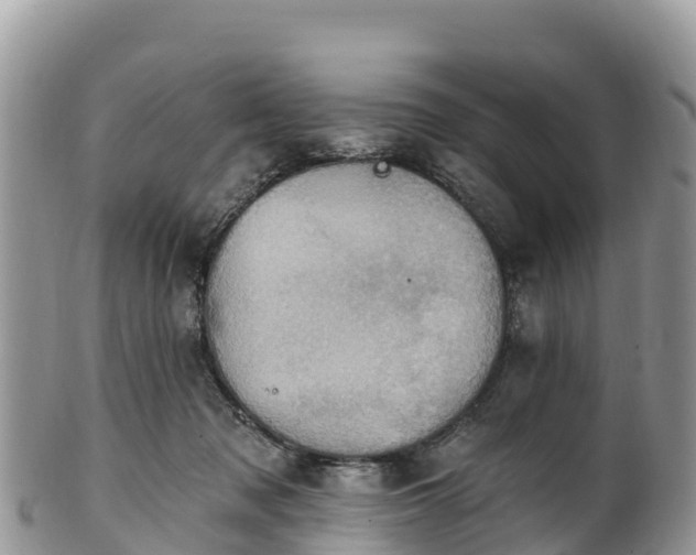 X0000102290317200808011519