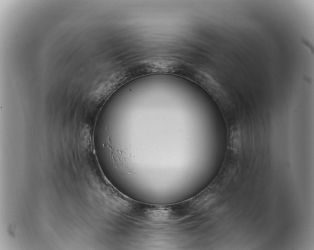 X0000102290318200808011519