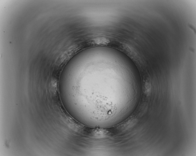 X0000102290321200808011518