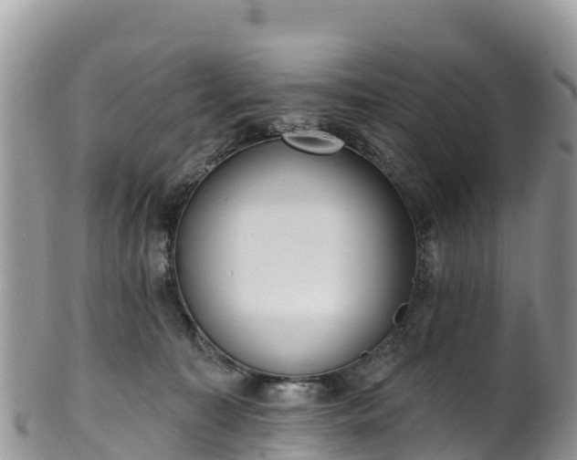 X0000102290323200808011518