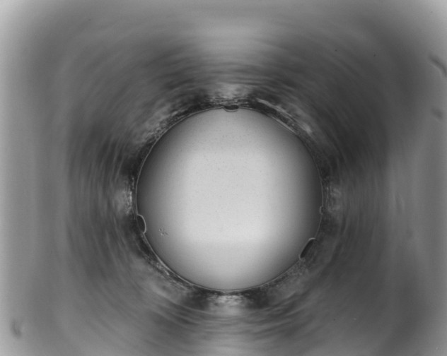 X0000102290324200808011518