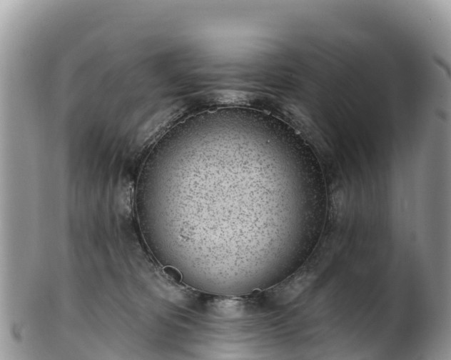 X0000102290325200808011518