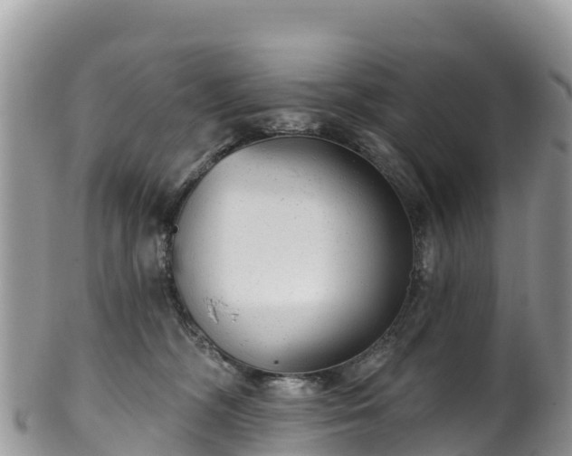 X0000102290326200808011518