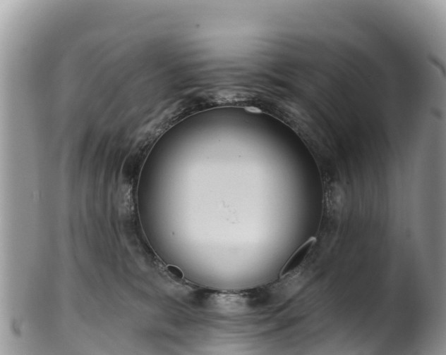 X0000102290327200808011518