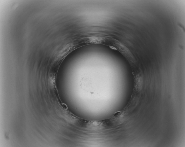 X0000102290329200808011518