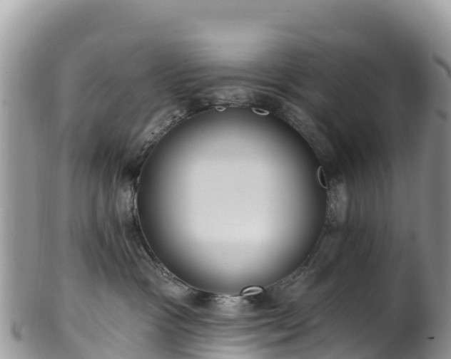 X0000102290333200808011518