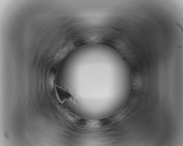 X0000102290334200808011518