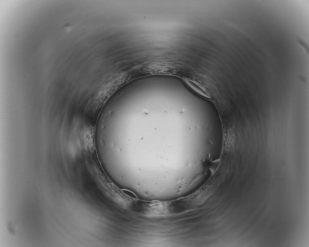 X0000102290335200808011518