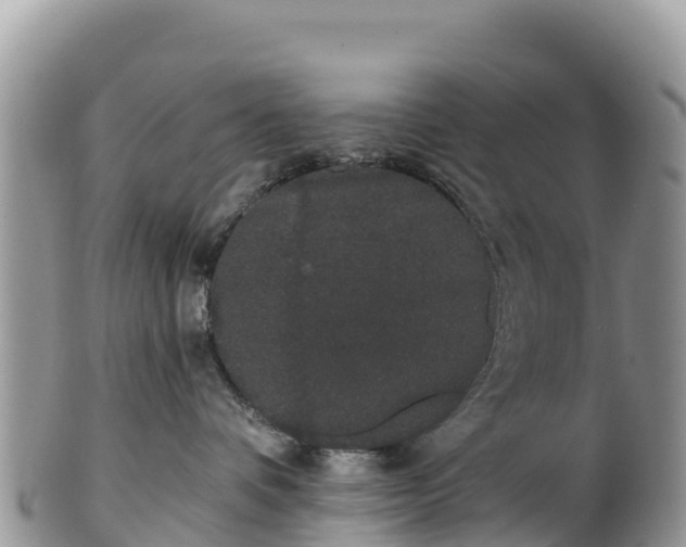 X0000102290336200808011518