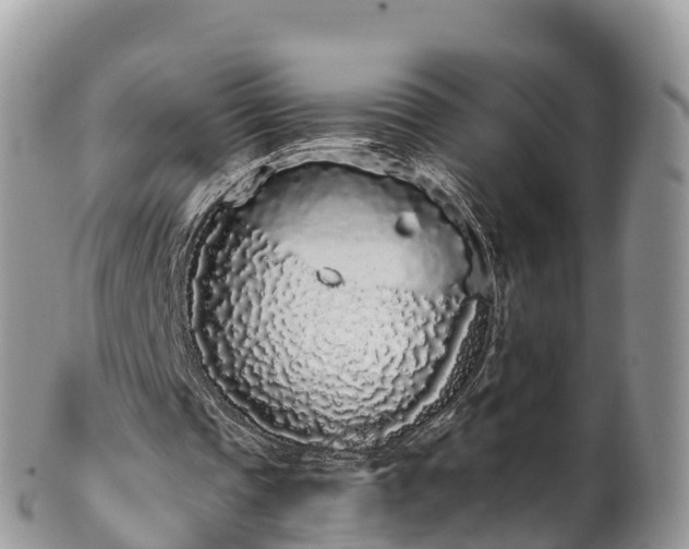 X0000102290337200808011518