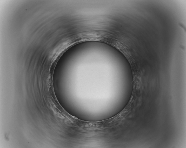 X0000102290338200808011518