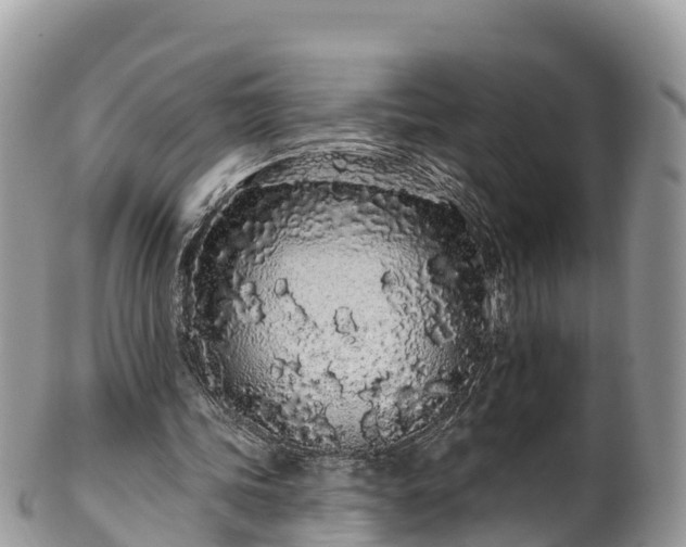 X0000102290339200808011518