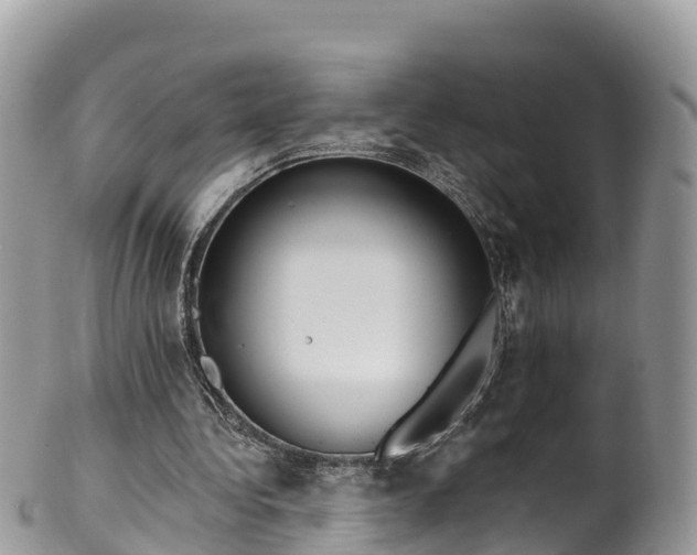 X0000102290340200808011518