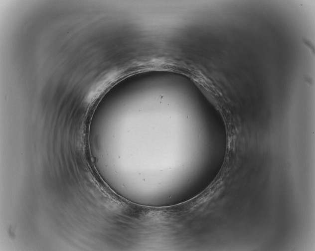 X0000102290341200808011518