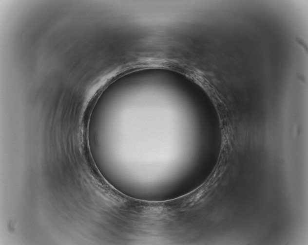 X0000102290342200808011518