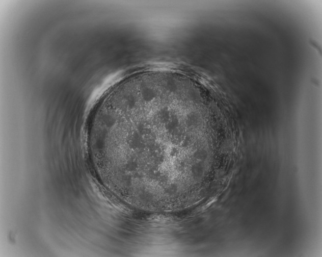 X0000102290343200808011518