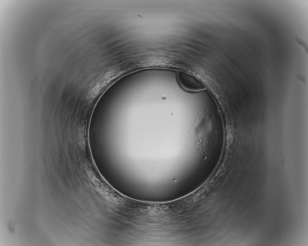 X0000102290345200808011518