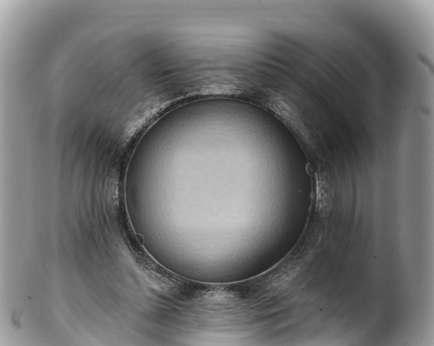 X0000102290348200808011518