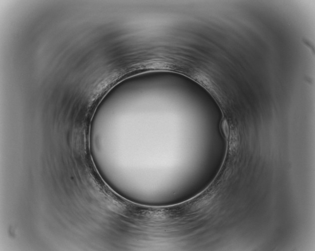 X0000102290349200808011518