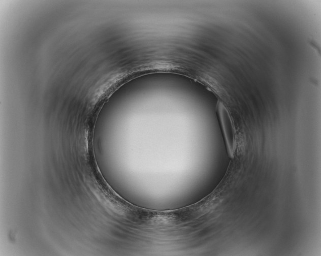 X0000102290350200808011518