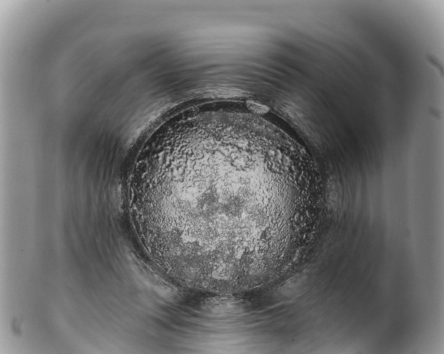 X0000102290351200808011518