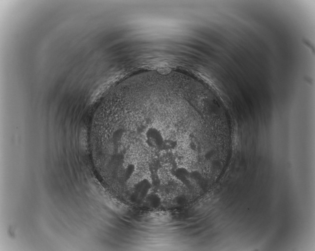 X0000102290353200808011518