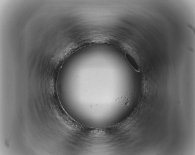 X0000102290354200808011518