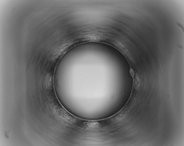 X0000102290355200808011518