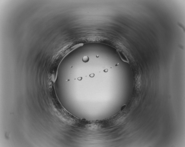 X0000102290356200808011518