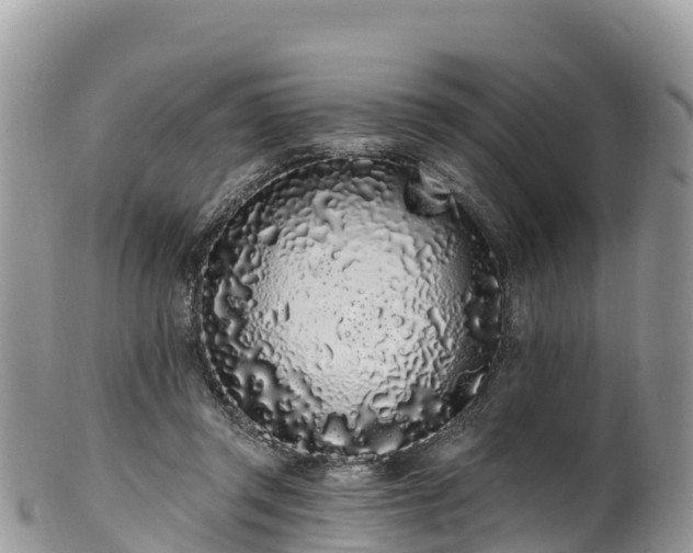 X0000102290357200808011518