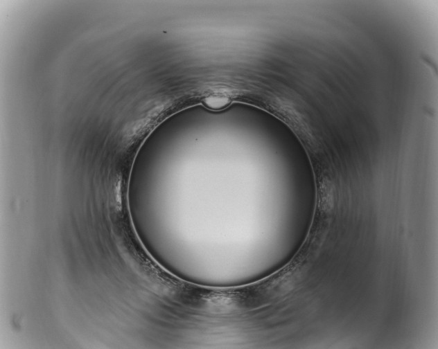 X0000102290358200808011518