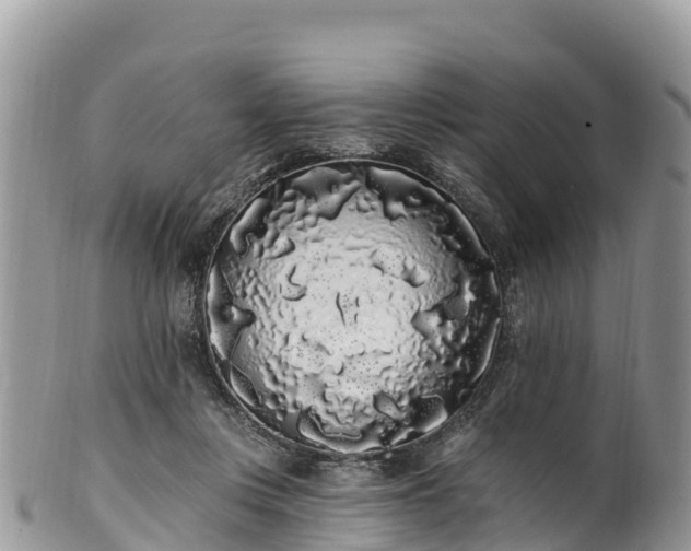 X0000102290359200808011518