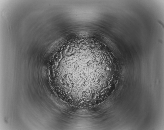 X0000102290361200808011518
