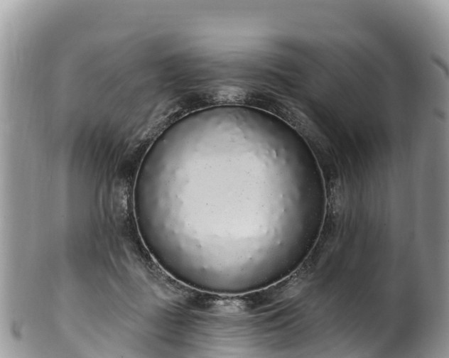 X0000102290363200808011518